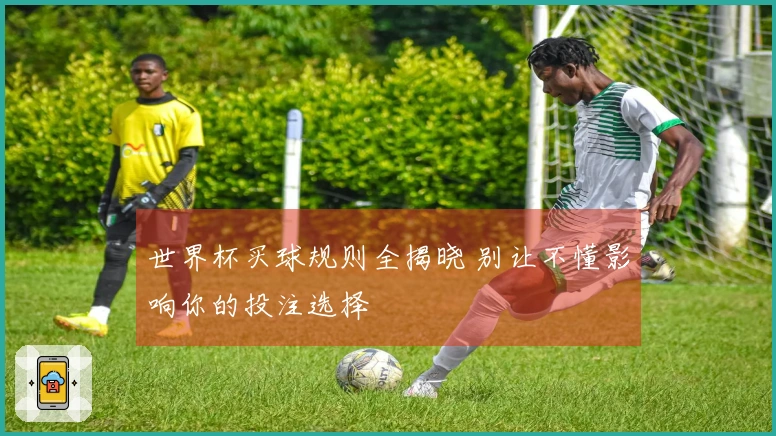 世界杯买球规则全揭晓 别让不懂影响你的投注选择