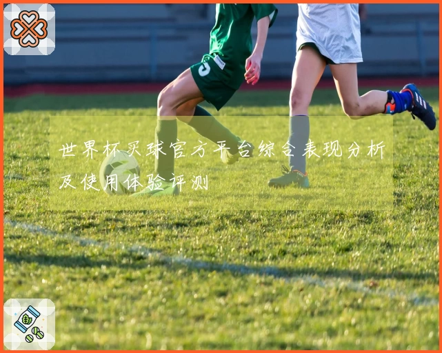 世界杯买球官方平台综合表现分析及使用体验评测