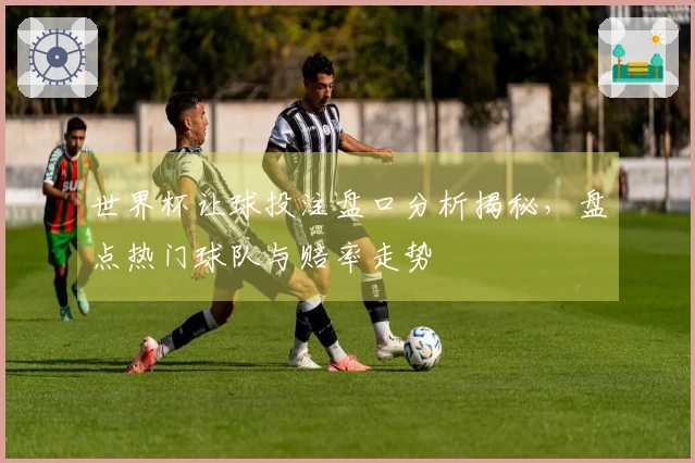 世界杯让球投注盘口分析揭秘，盘点热门球队与赔率走势