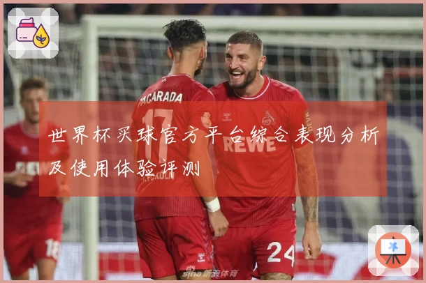 世界杯买球官方平台综合表现分析及使用体验评测