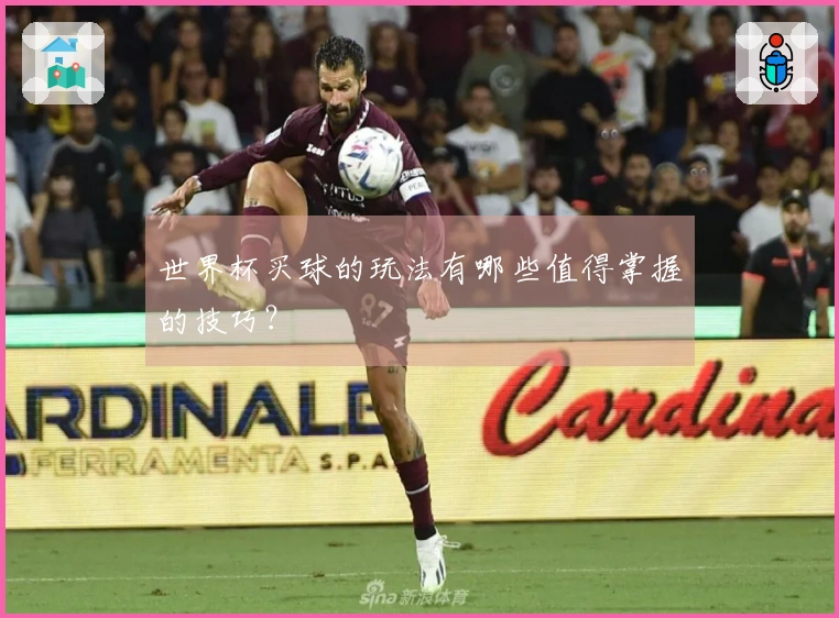 世界杯买球的玩法有哪些值得掌握的技巧?