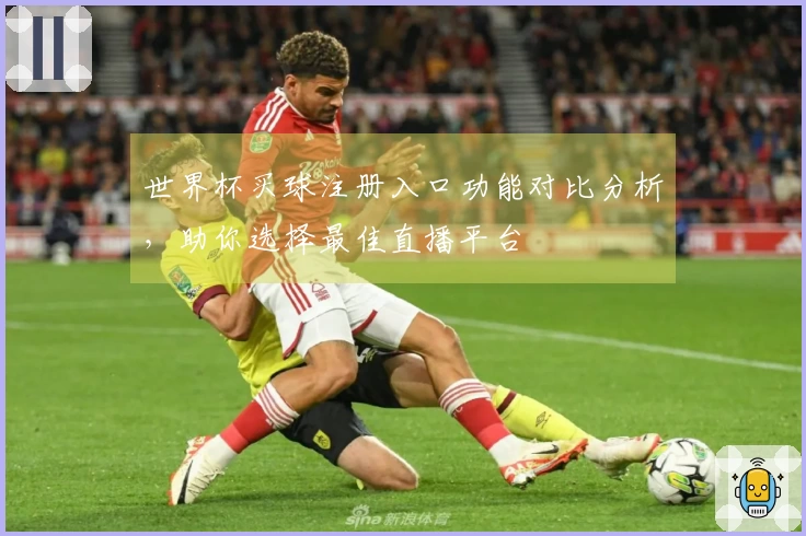 世界杯买球注册入口功能对比分析，助你选择最佳直播平台