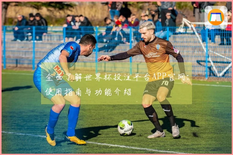 全面了解世界杯投注平台APP官网：使用指南与功能介绍
