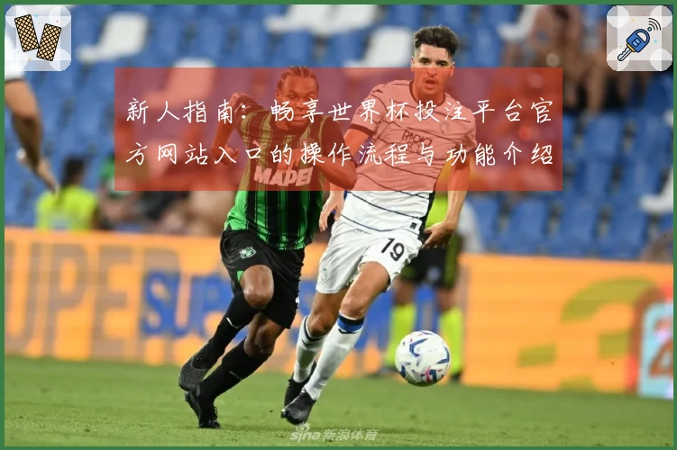 新人指南：畅享世界杯投注平台官方网站入口的操作流程与功能介绍