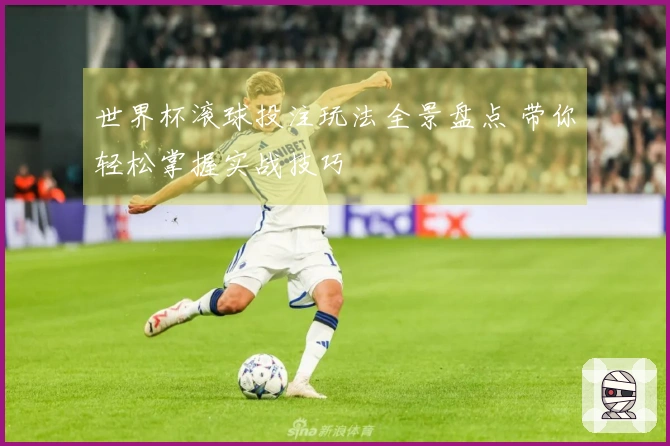 世界杯滚球投注玩法全景盘点 带你轻松掌握实战技巧