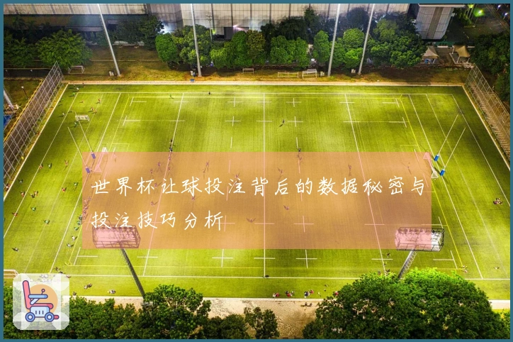 世界杯让球投注背后的数据秘密与投注技巧分析