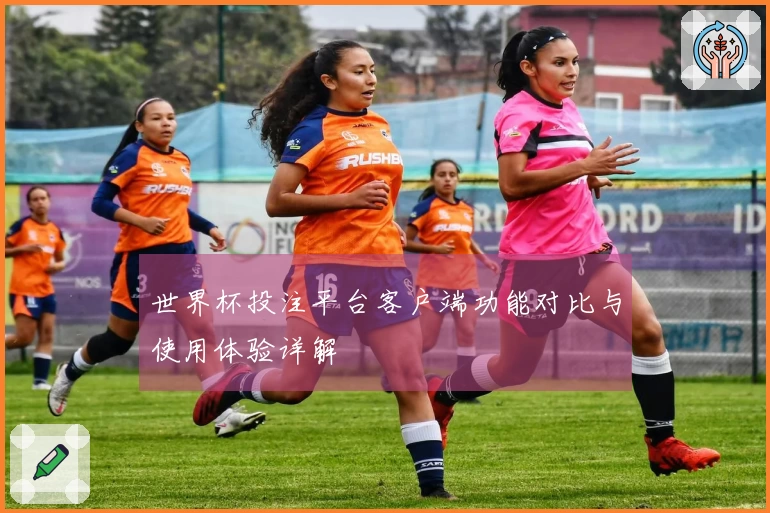 世界杯投注平台客户端功能对比与使用体验详解