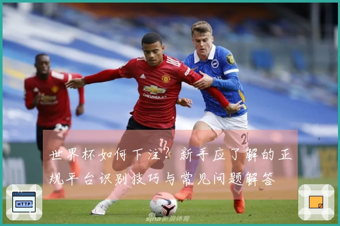 世界杯如何下注？新手应了解的正规平台识别技巧与常见问题解答