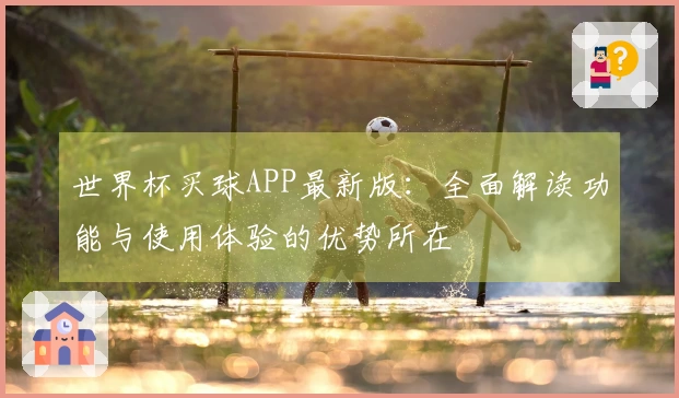 世界杯买球APP最新版：全面解读功能与使用体验的优势所在