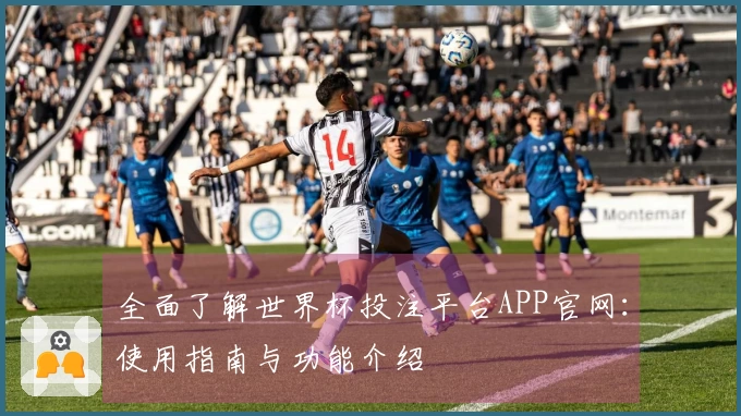 全面了解世界杯投注平台APP官网：使用指南与功能介绍