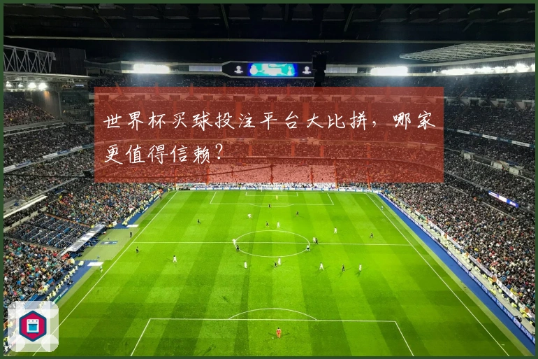 世界杯买球投注平台大比拼，哪家更值得信赖？